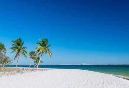 Sanibel Beach, FL with no people in sight.